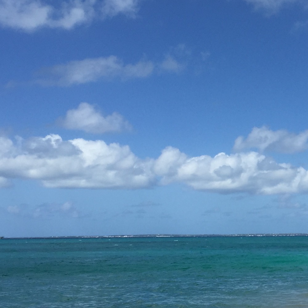 Meet your Posher, Maziel